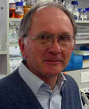 Dirk Bellstedt - Scientific Research Administrator