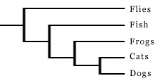 primer graph